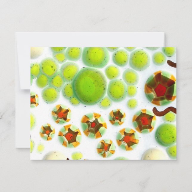 Garten Nr. 7 (Vorderseite)