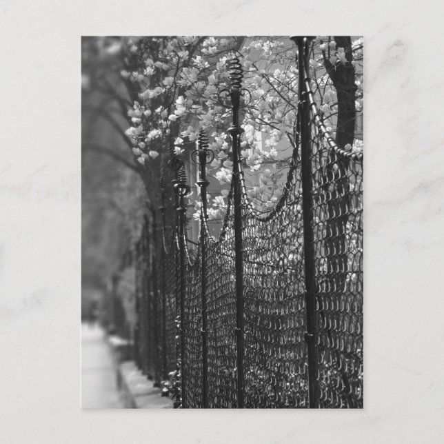 Garten Postkarte (Vorderseite)