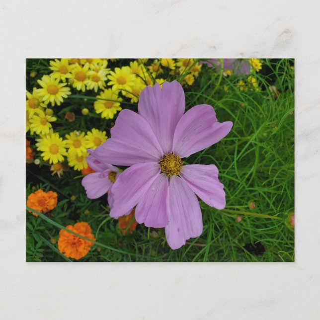 Garten Postkarte (Vorderseite)