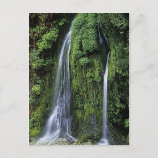 Garten: Postkarte von Eden