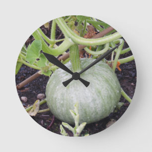Garten: Pumpkin wachsen Runde Wanduhr
