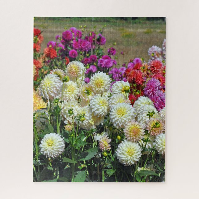 Garten Rainbow dahlias Puzzle (Vertikal)