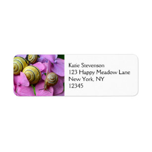 Garten-Schnecken auf rosa Blumen