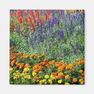Garten-Schönheits-Blumen-Fotografie-Magnet Magnet