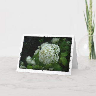 Gärten Schwedens Karte