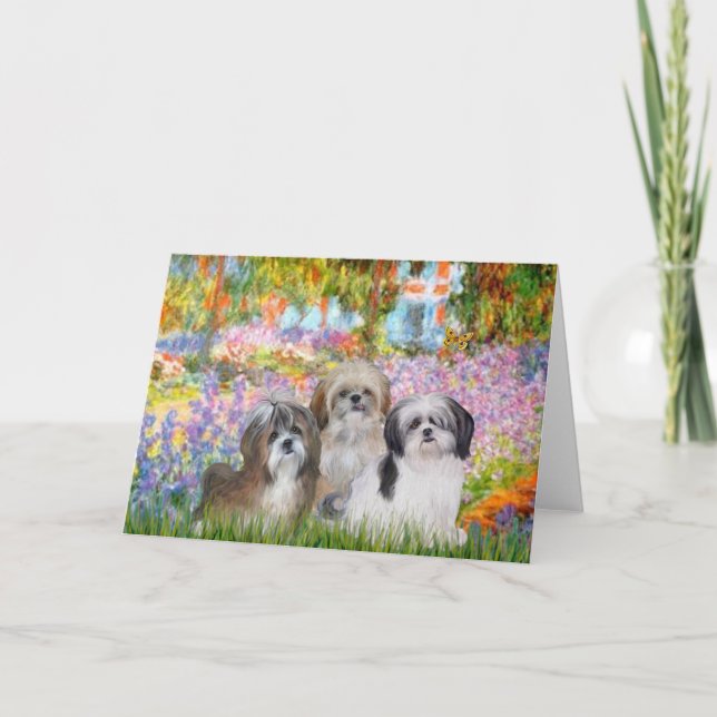Garten - Shih Tzus (drei) Karte (Vorderseite)