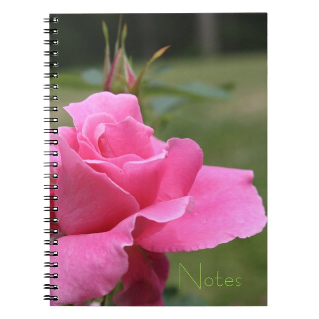 Garten-Thema gürtelrosa Rosa Notizblock (Vorderseite)