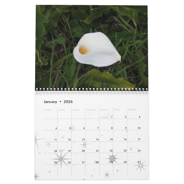 Garten träumt Kalender 2011 (Jan 2026)