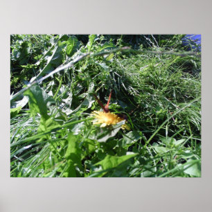 Garten-Unkräuter, die Garten-Plakat-Druck Poster