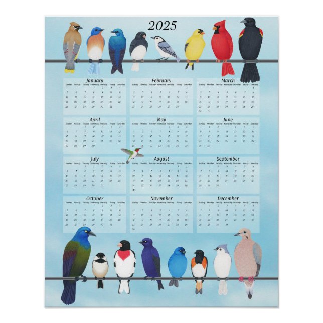 Garten Vögel 2025 Mauerkalender Poster (Vorderseite)