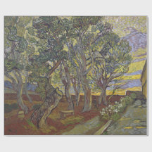 Garten von St Paul Krankenhaus Vincent van Gogh