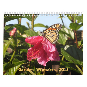Garten wundert sich Kalender 2013
