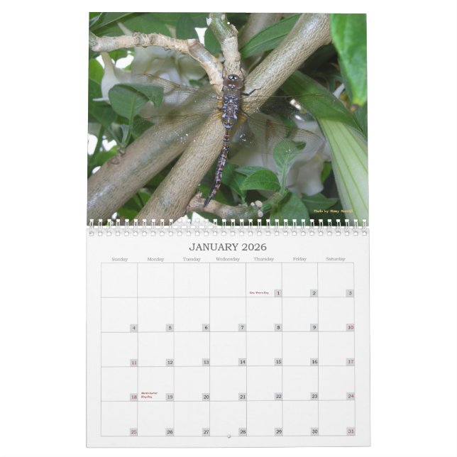 Garten wundert sich Kalender 2013 (Jan 2026)