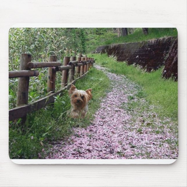 Garten Yorkshires Terrier Mousepad (Vorne)