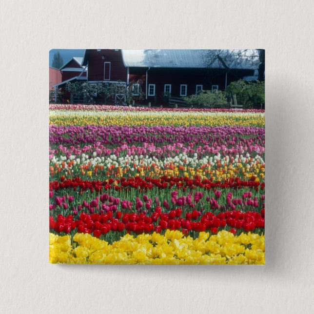 Gartenanlage mit Gartenmöbeln, Skagit-Landkreis, Button (Vorderseite)