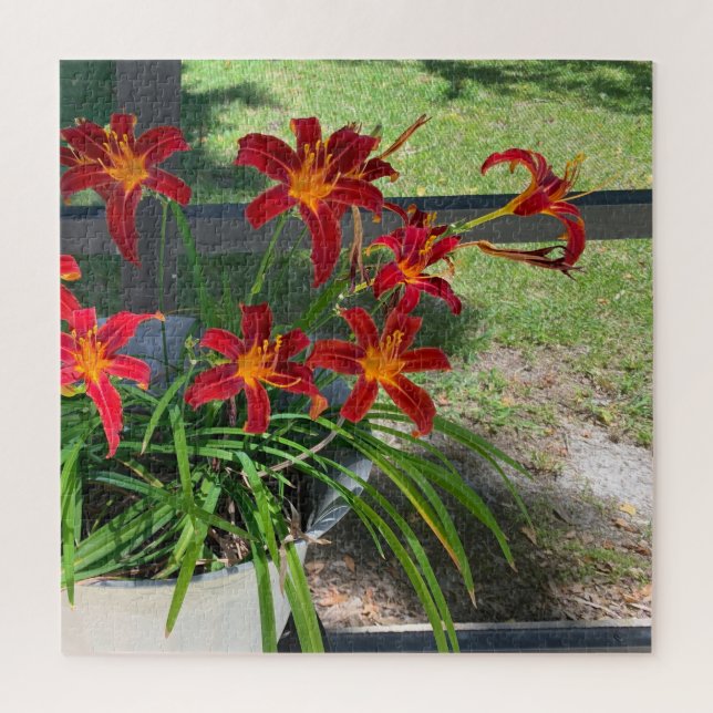 Gartenanlagen Taglilien Blume Sommer Foto Natur Puzzle (Vertikal)