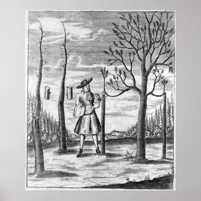 Gartenarbeit und Pflanze Maladies Poster (Vorne)