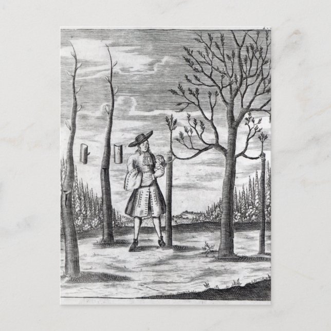 Gartenarbeit und Pflanze Maladies Postkarte (Vorderseite)