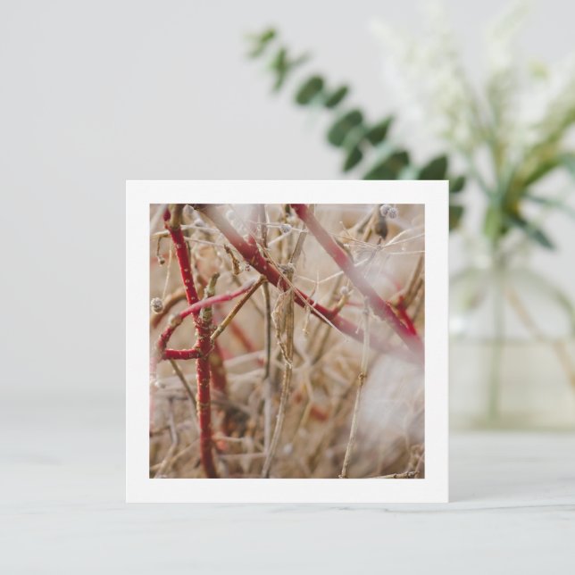 Gartenbau Business Cards Wilde Rose Einladung (Stehend Vorderseite)