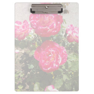 Gartenbau Rose I Klemmbrett