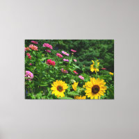 Gartenblick Blumengarten, Gänse, Sonnenblumen