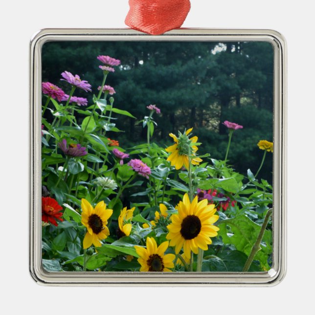Gartenblick - Sonnenblumen, Gänseblumen, Kosmos Ornament Aus Metall (Vorne)