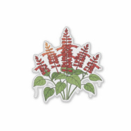 Gartenblume - Scharlachroter Salbei Aufkleber