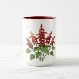 Gartenblume - Scharlachroter Salbei Tasse
