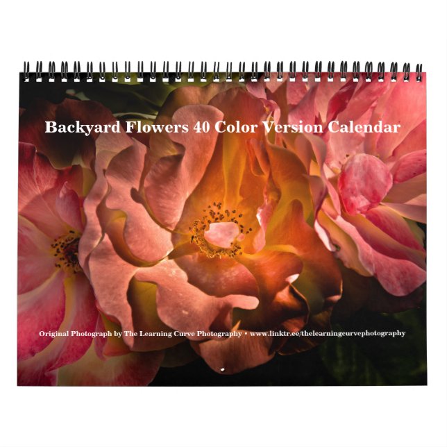 Gartenblumen 40 Farbversion Kalender (Titelbild)