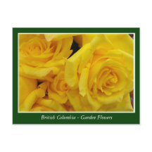 Gartenblumen in BC