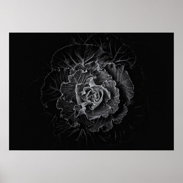 Gartenblumen in Schwarzweiß Nr. 100 Poster (Vorne)