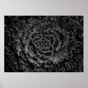 Gartenblumen in Schwarzweiß Nr. 107 Poster
