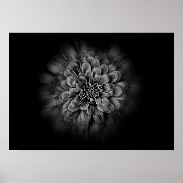 Gartenblumen in Schwarzweiß Nr. 54 Flow Poster (Vorne)