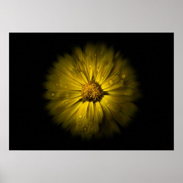 Gartenblumen Nr. 10 Farbfluss-Version Poster (Vorne)