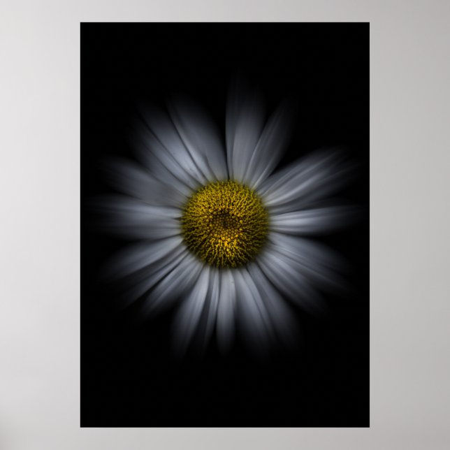 Gartenblumen Nr. 13 Color Flow Version Poster (Vorne)