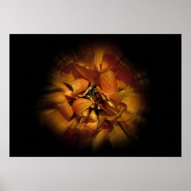 Gartenblumen Nr. 80 Color Flow Version Poster (Vorne)