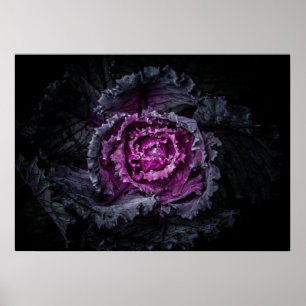 Gartenblumen Nr. 92 Farbversion Poster