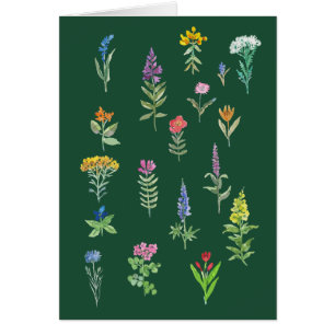 Gartenblumen Postkarte