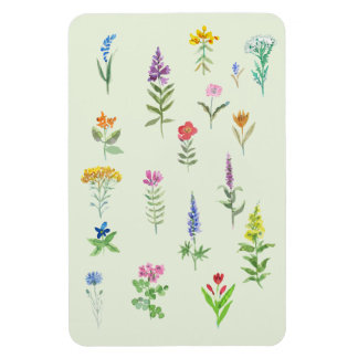 Gartenblumen Postkarte  Magnet