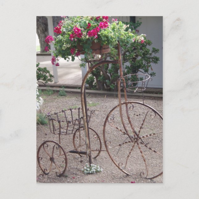Gartencharakter Postkarte (Vorderseite)