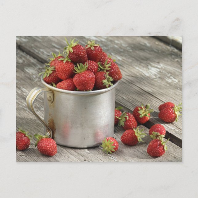 GartenErdbeeren in Tasse Postkarte (Vorderseite)