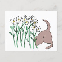 Gartenhelfer (Hund in den Gänsedaunen) Postkarte