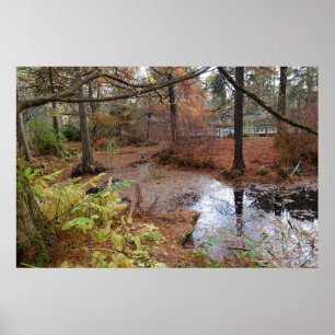 Gartenherbstbäume und Wasserteich Pflanze Szene. Poster