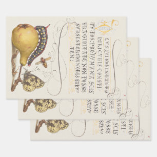 Garteninsekten, Fliege, Raupe, Birne, Tausendfüßle Geschenkpapier Set