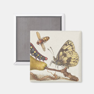 Garteninsekten, Fliege, Raupe, Birne, Tausendfüßle Magnet
