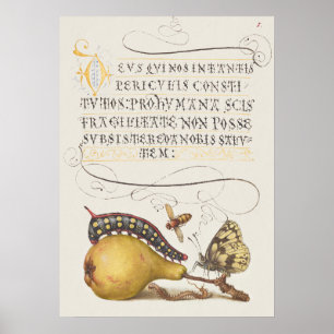 Garteninsekten, Fliege, Raupe, Birne, Tausendfüßle Poster
