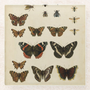 Garteninsekten von Vision Studio Glasuntersetzer