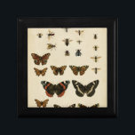 Garteninsekten von Vision Studio Schmuckschachtel<br><div class="desc">Dieses Vision Studio Stück ist ein Traum von Entomologen! Garteninsekten werden auf einem cremefarbenen Hintergrund gezeichnet,  in sehr schönen Details dargestellt. Wenn Sie Insekten Liebe haben,  ist dies der Druck für Sie!</div>