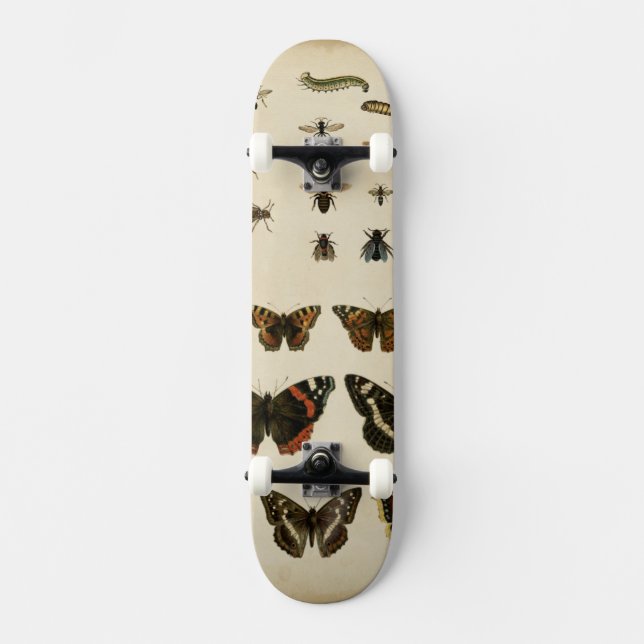 Garteninsekten von Vision Studio Skateboard (Vorderseite)