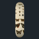 Garteninsekten von Vision Studio Skateboard<br><div class="desc">Dieses Vision Studio Stück ist ein Traum von Entomologen! Garteninsekten werden auf einem cremefarbenen Hintergrund gezeichnet,  in sehr schönen Details dargestellt. Wenn Sie Insekten Liebe haben,  ist dies der Druck für Sie!</div>